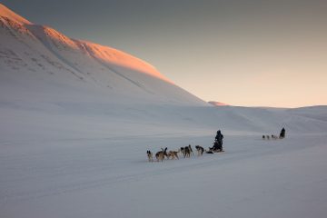 Flottere kan det faktisk ikke bli. Fantastisk måte å utforske Svalbard på. FOTO: Guro og Monings