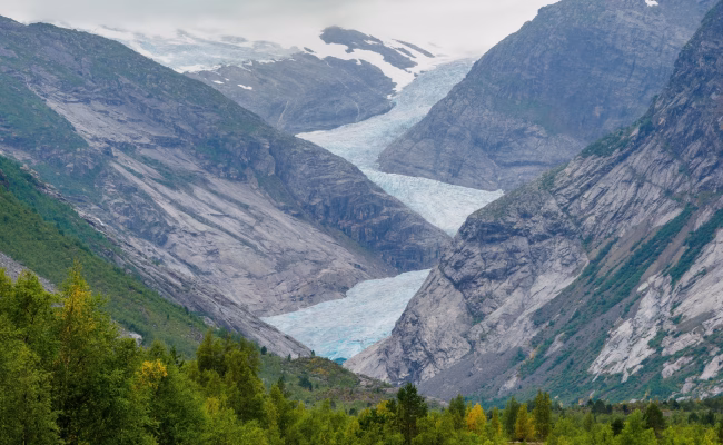 Hvor mange isbreer klarer du? FOTO: Envato