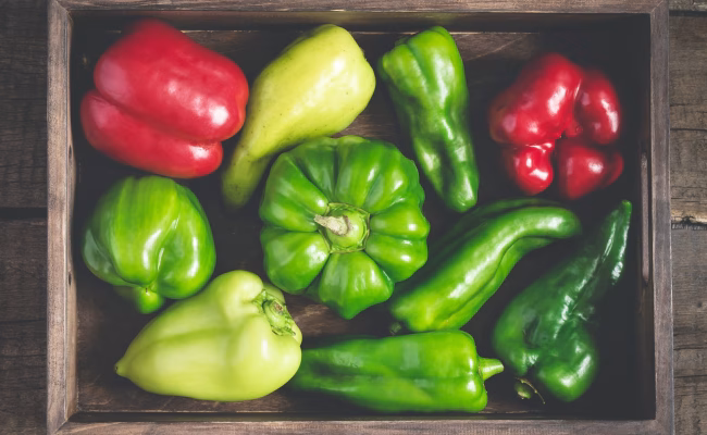 Grønnsaker på et fat. Hva heter de på norsk? FOTO: Envato